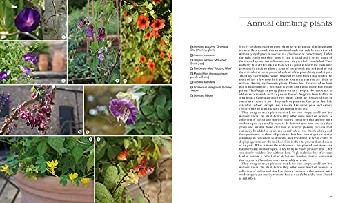 Pots for All Seasons