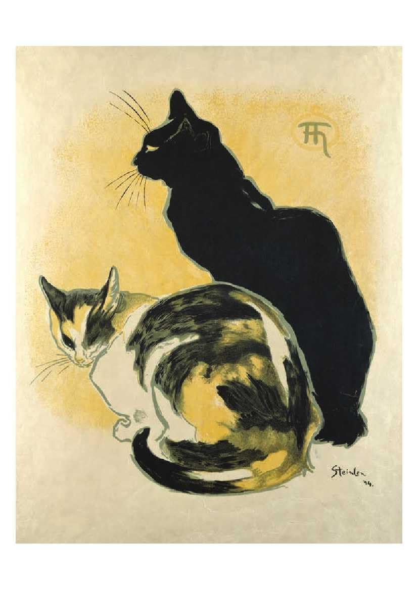 Cats: 50 Postcards