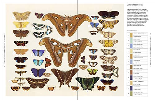 Nature's Palette: A colour reference system from the natural world