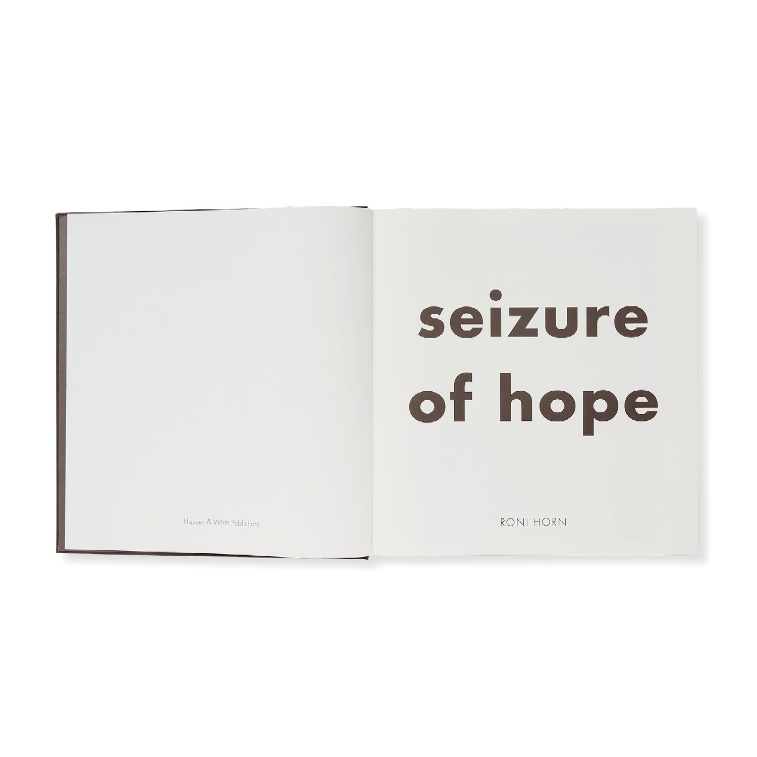 Roni Horn: Seizure of Hope