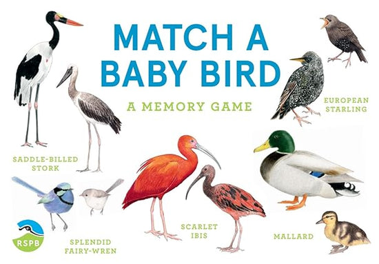 Match a Baby Bird: A Memory Game