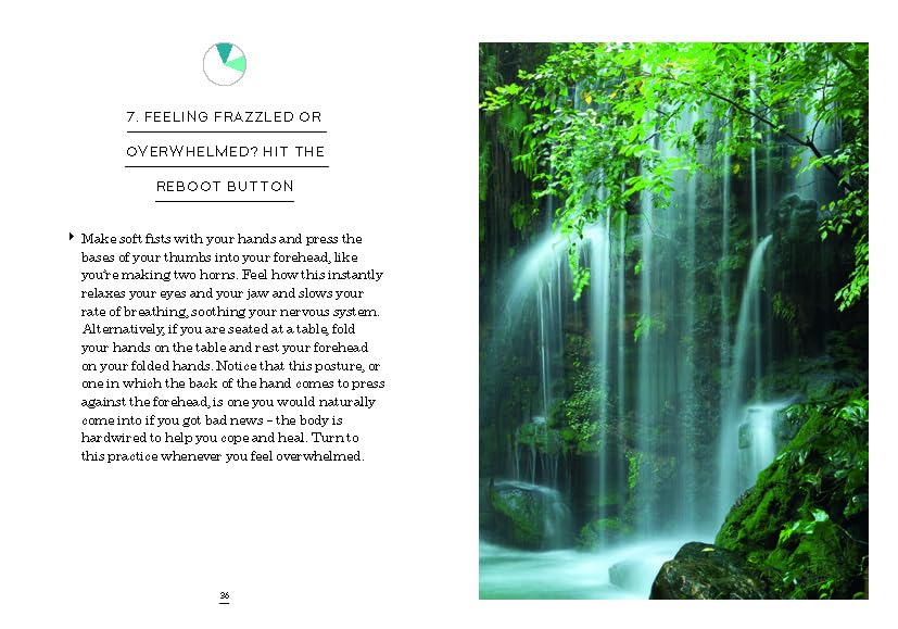 The Little Book of Self-care: 30 practices to soothe the body, mind and soul