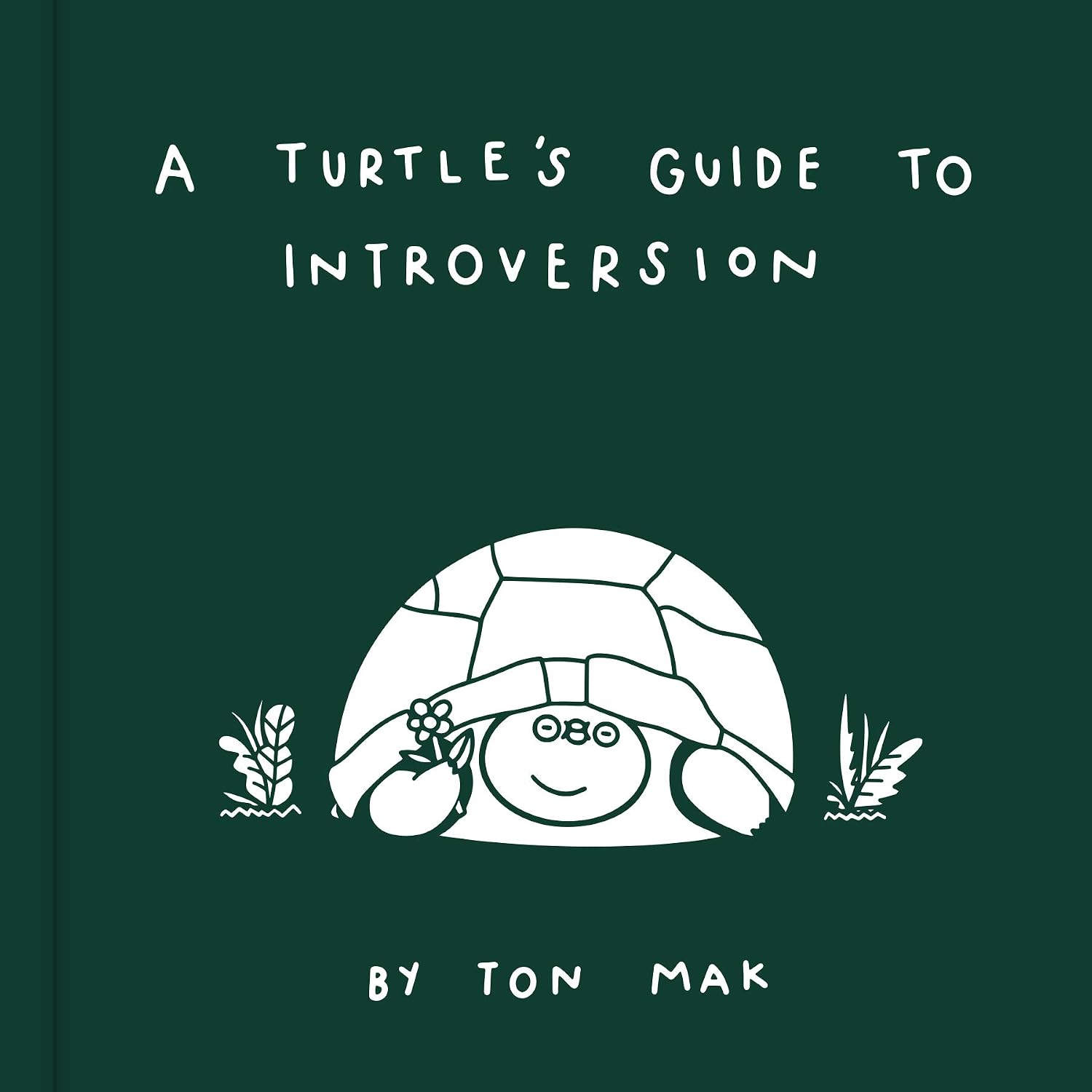 A Turtle's Guide to Introversion: Ton Mak