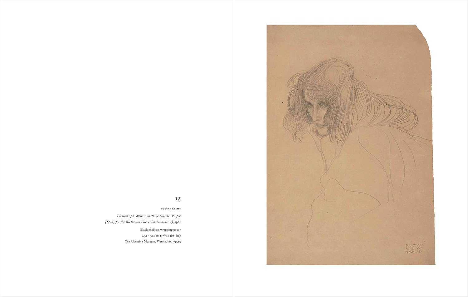 Klimt and Schiele: Drawings
