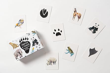 Match a Track: Match 25 Animals to Their Paw Prints