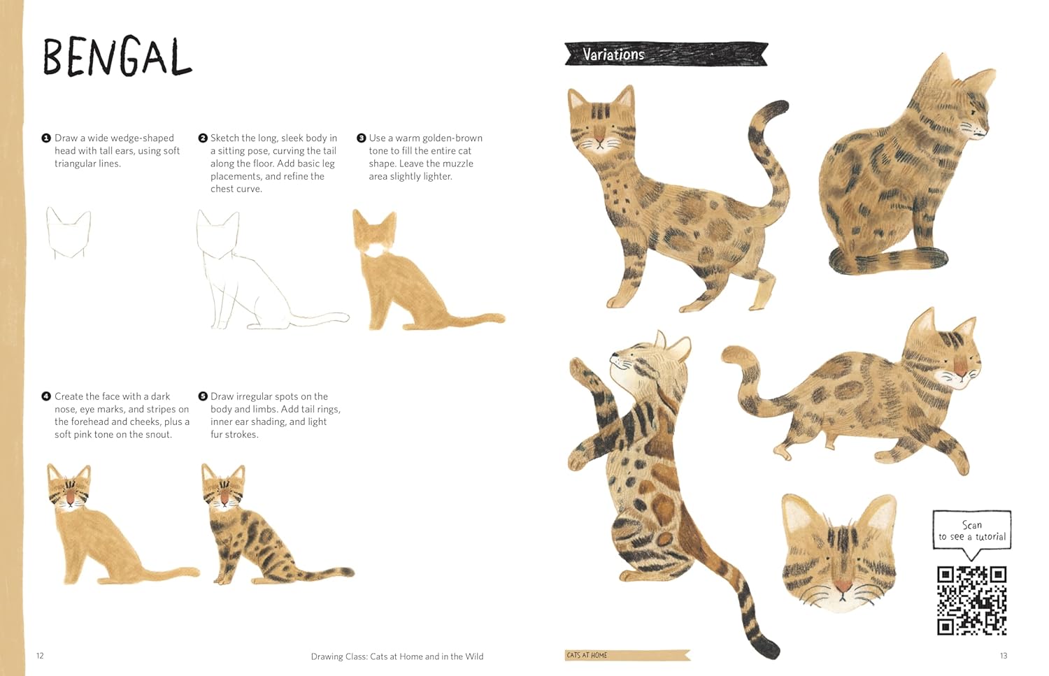 Drawing Class: Cats at Home and in the Wild