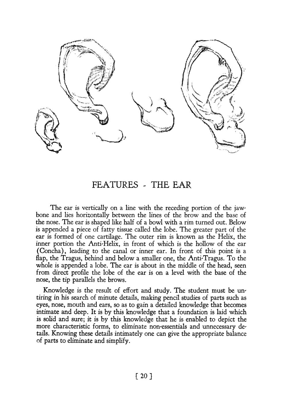 Heads, Features and Faces