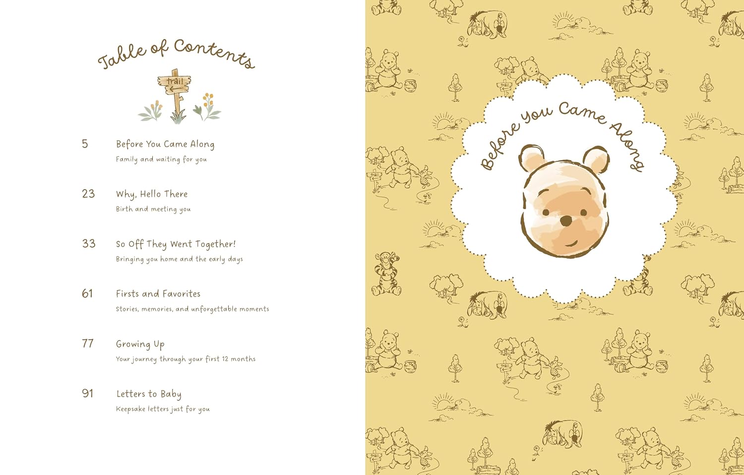 Winnie the Pooh Baby Book: A Keepsake Memory Journal for Your Baby’s First Years