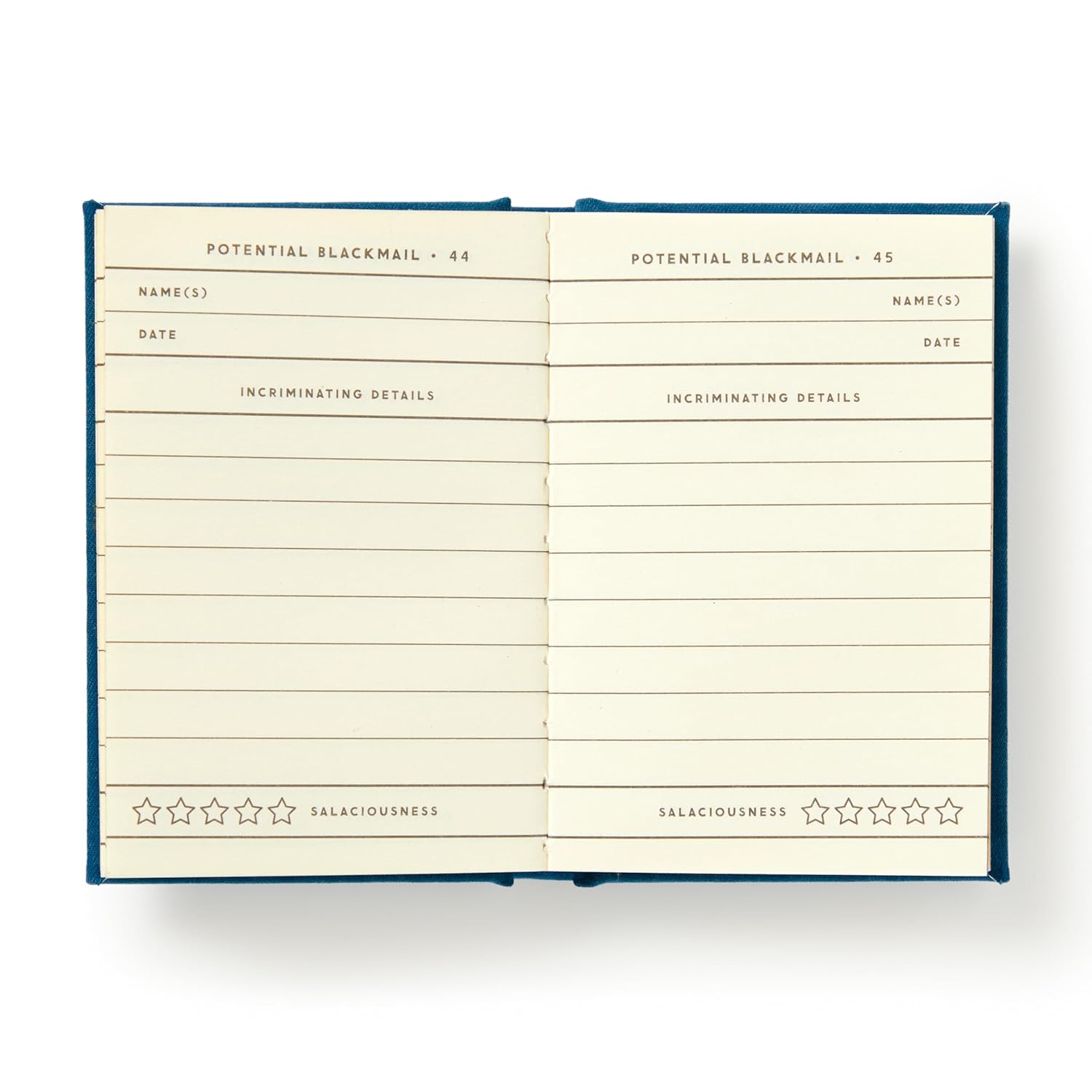 Future Blackmail Tiny Diary