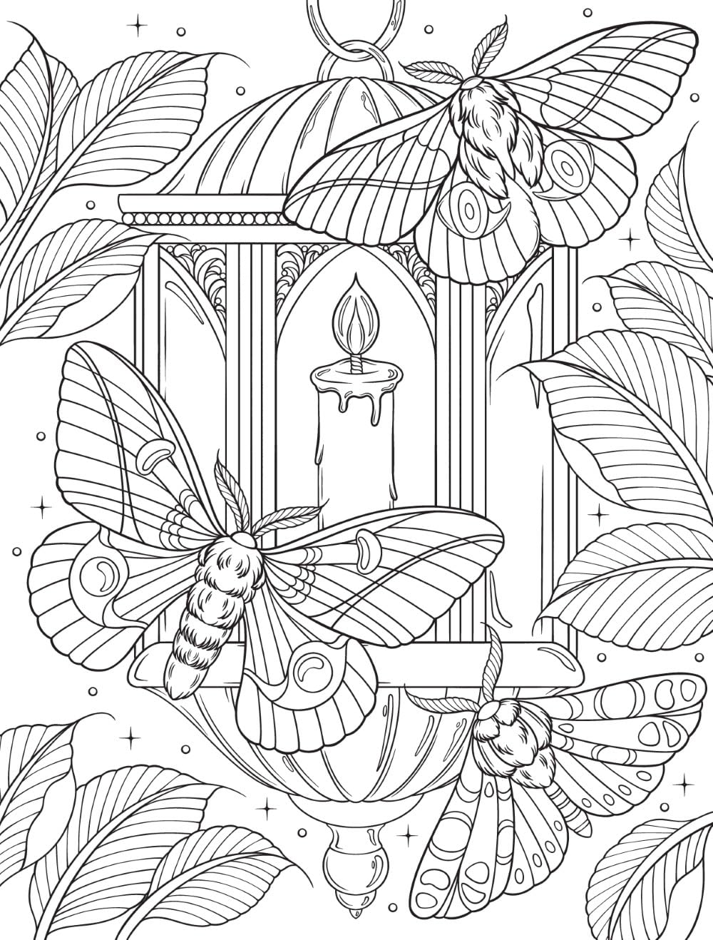 Bugs & Blooms: A Botanical Coloring Book