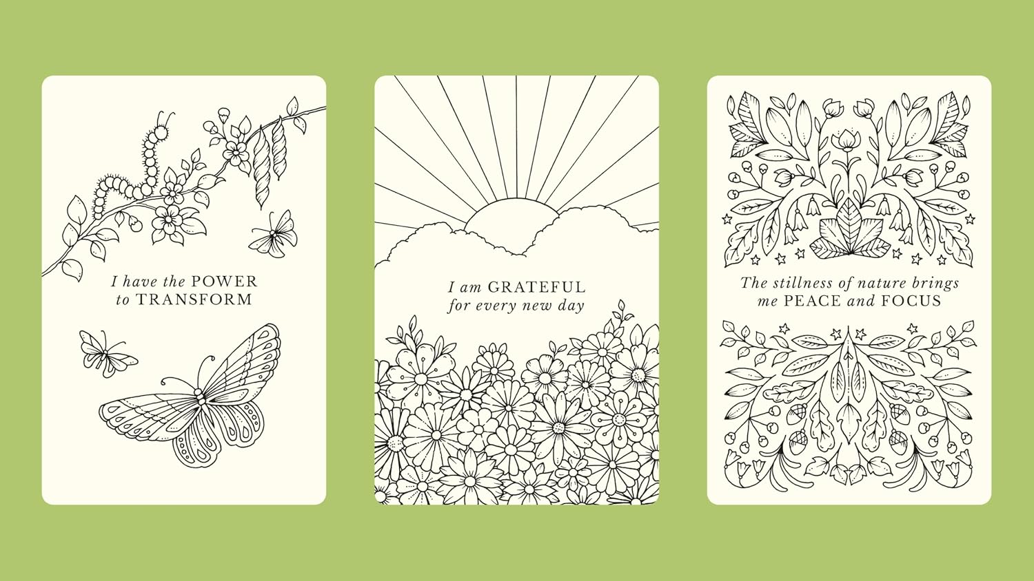 Johanna Basford's Notes from Nature: 30 Affirmation Cards to Colour