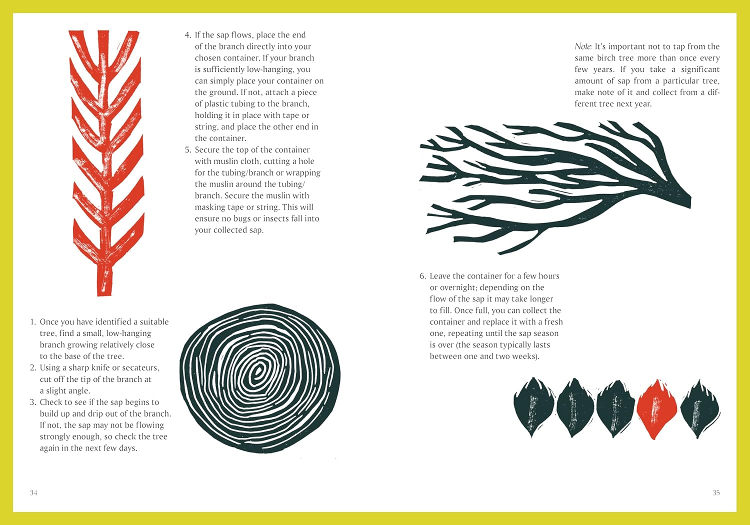 Seasonal Folktales: Myths, Magic & Folklore of the North, from Scotland to Scandinavia