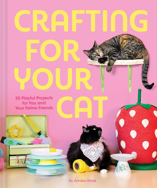 Crafting for Your Cat: 25 Playful Projects for You and Your Feline Friends