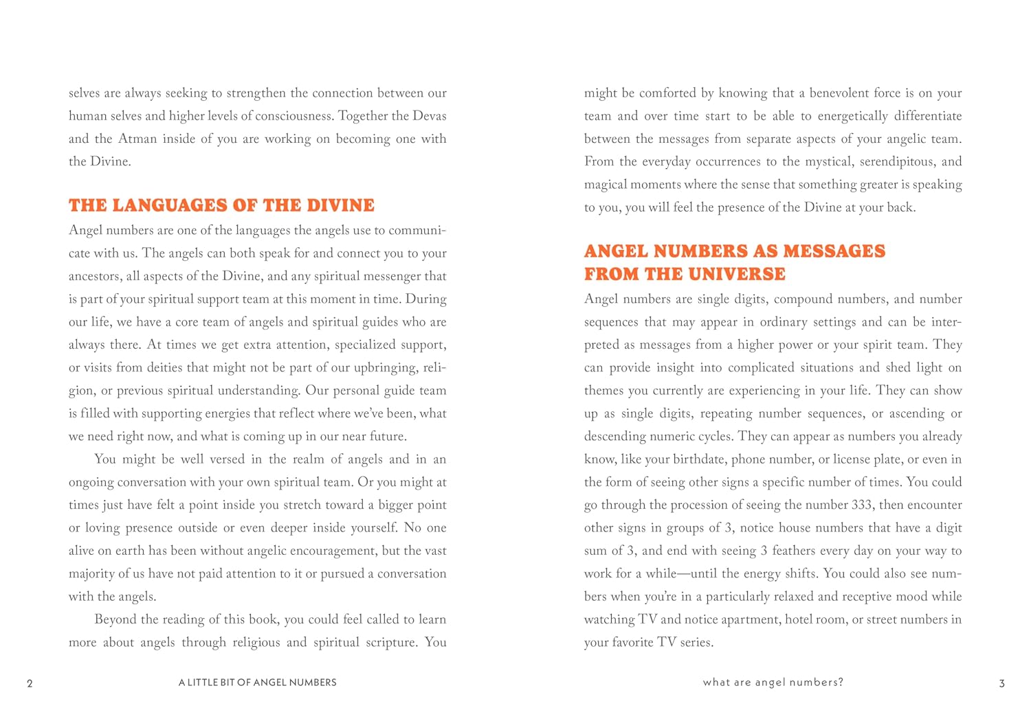 A Little Bit of Angel Numbers: An Introduction to Messages from the Universe
