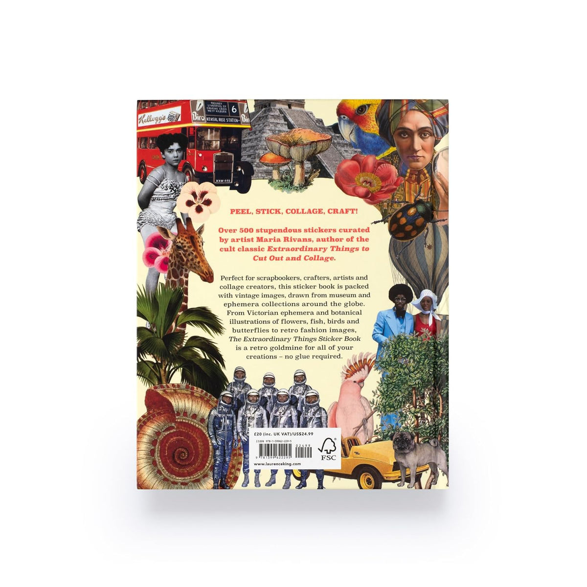 Extraordinary Things Sticker Book