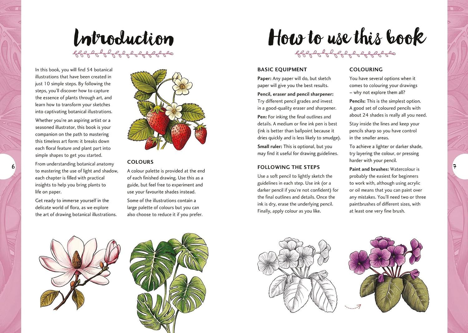 10 Step Drawing: Botanicals: Draw over 50 plants in 10 easy steps