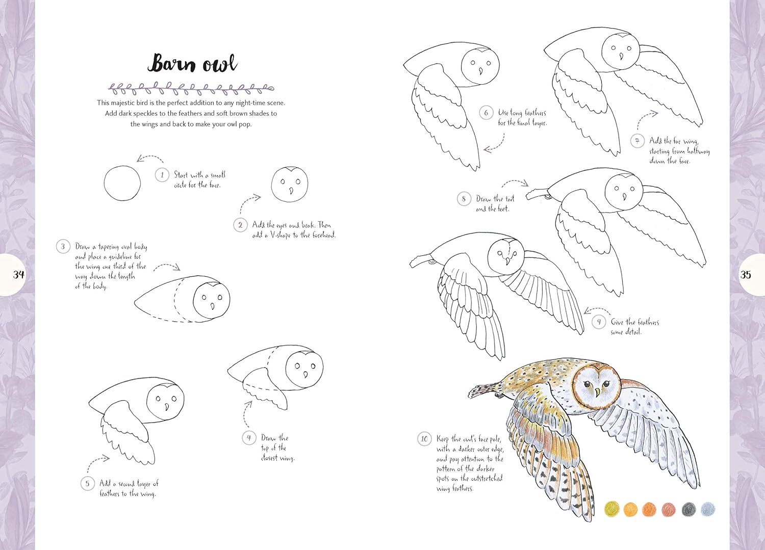 10 Step Drawing: Nature: Draw 60 plants & animals in 10 easy steps