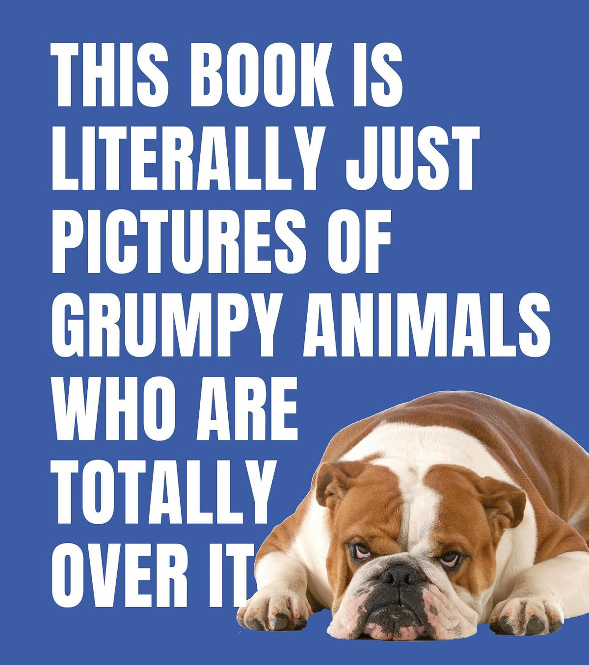 This Book is Literally Just Pictures of Grumpy Animals Who Are Totally Over It