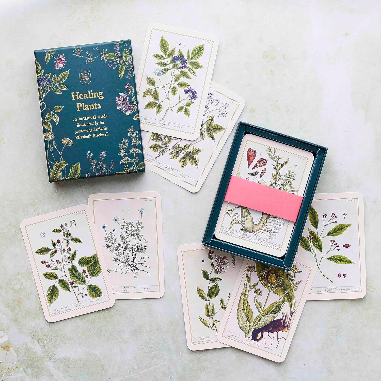 Healing Plants: 50 botanical cards illustrated by the pioneering herbalist Elizabeth Blackwell