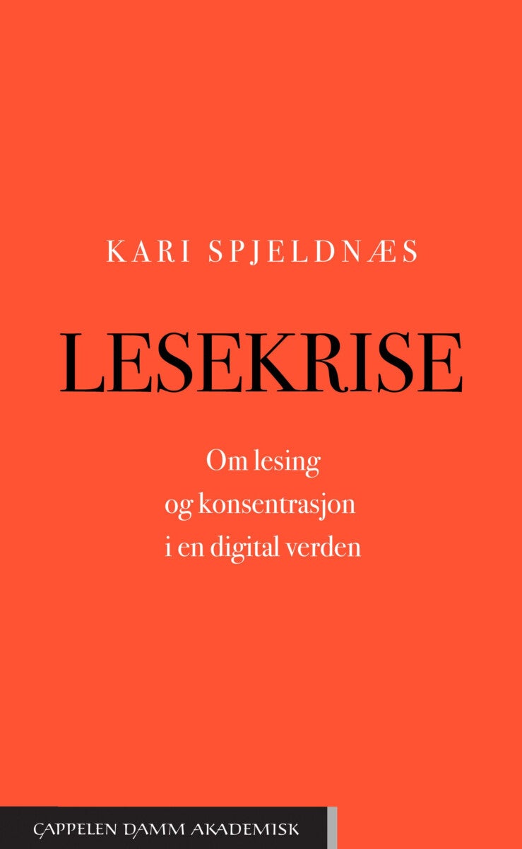Lesekrise