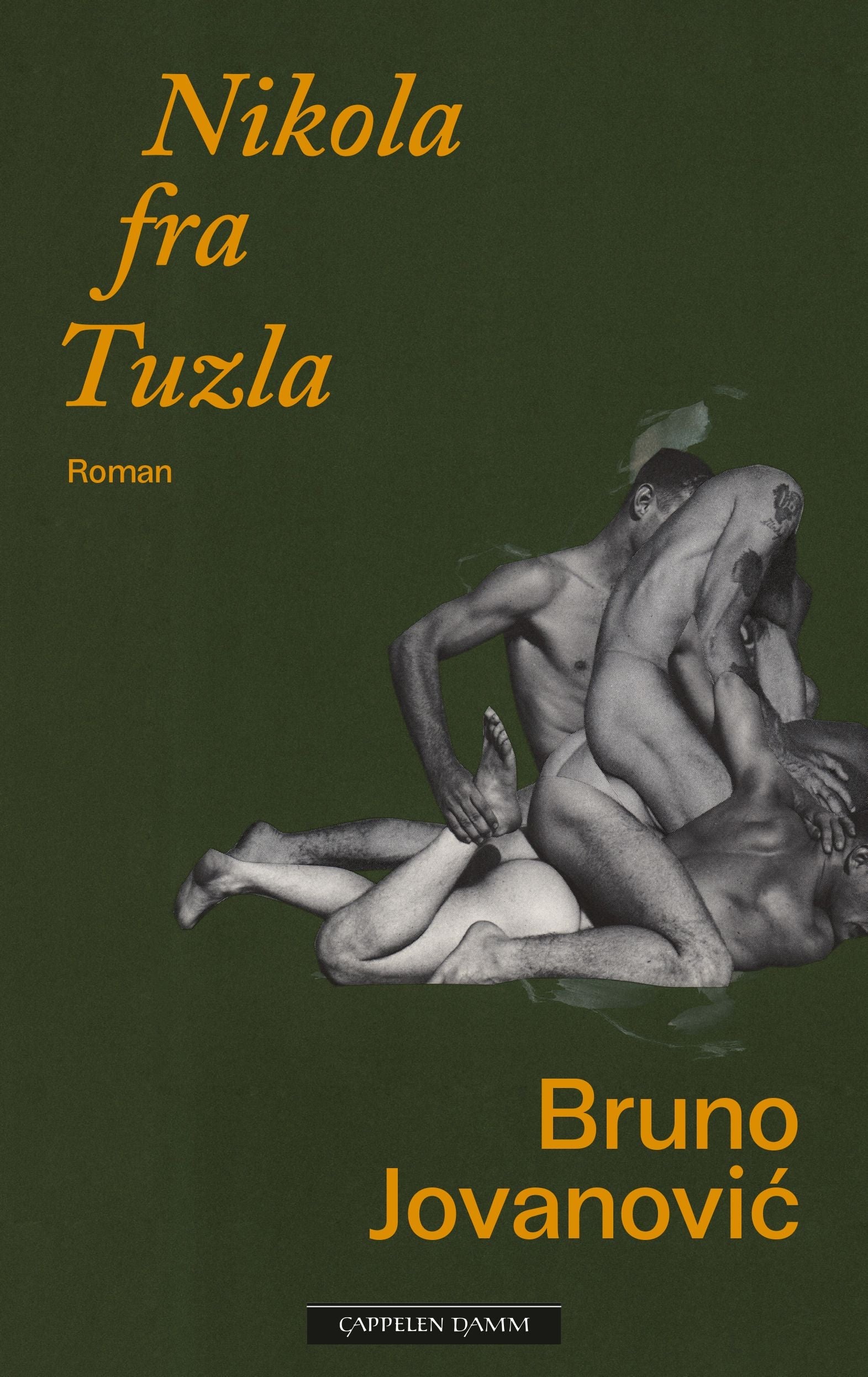 Nikola fra Tuzla