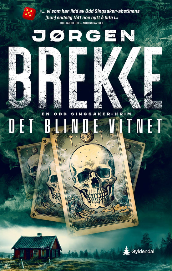 Det blinde vitnet