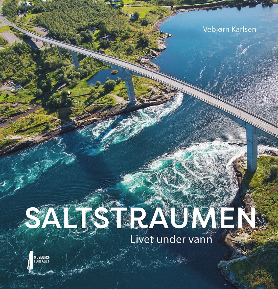 Saltstraumen