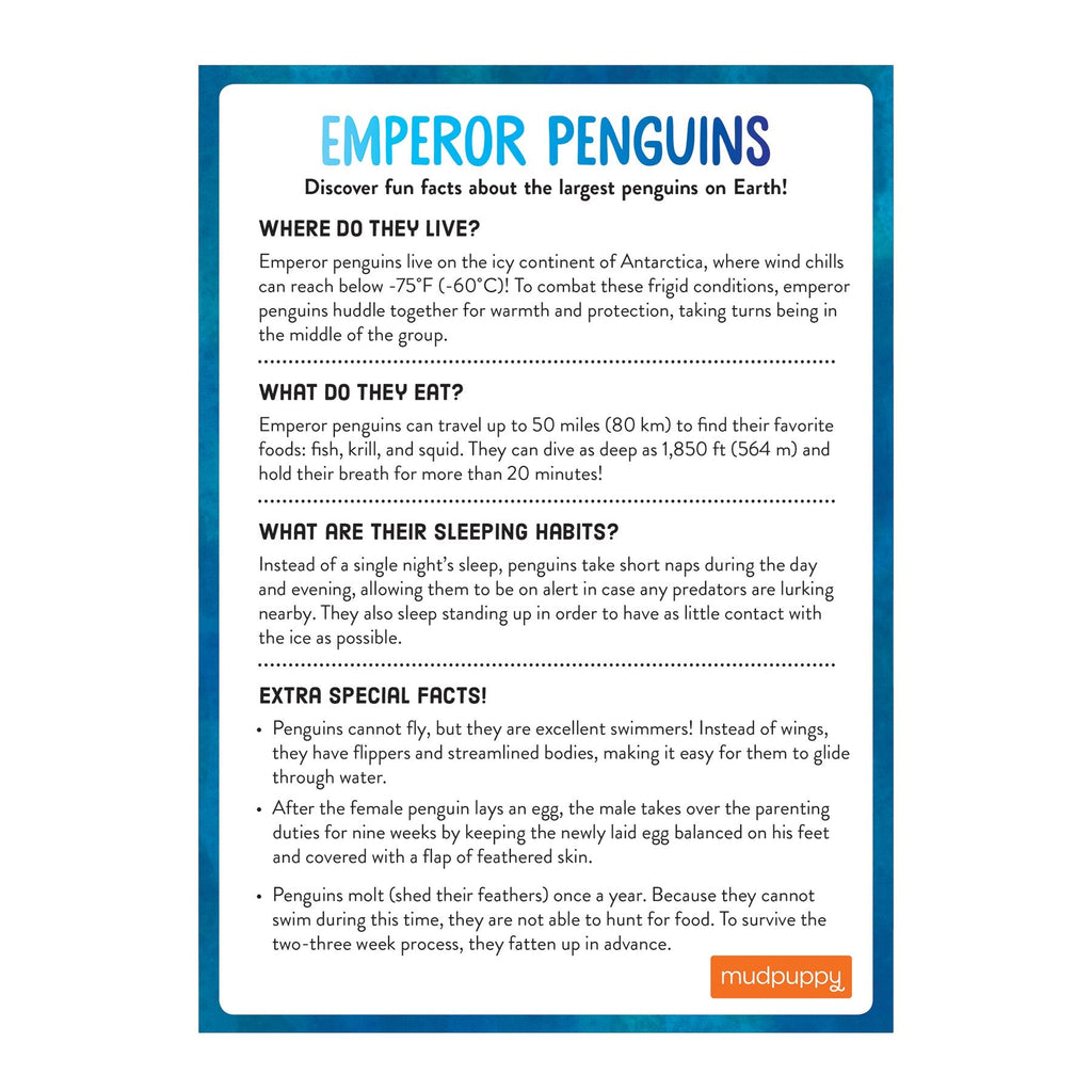 Penguin's Iceberg Adventure Cooperative Game