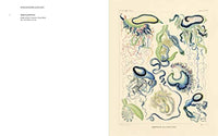 Art Forms from the Abyss: Ernst Haeckel's Images from the HMS Challenger Expedition