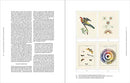Nature's Palette: A colour reference system from the natural world