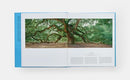 Tree: Exploring the Arboreal World