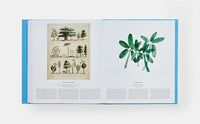 Tree: Exploring the Arboreal World
