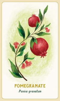Forest Magic Oracle: A Deck and Guidebook for Green Witches