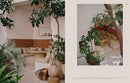 A Visual Feast: Ingredients That Make a Home
