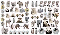 Eyelike Stickers: Baby Animals