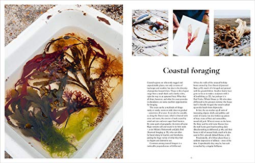 The Foraged Home