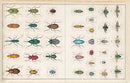 John Derian Sticker Book