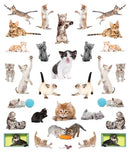 Eyelike Stickers: Kittens