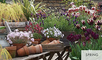 Pots for All Seasons