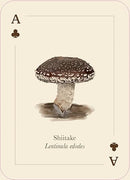 Mushrooms of the Wild