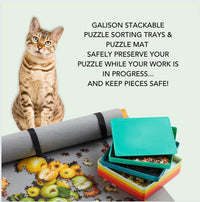 Puzzle Sorting Tray Set