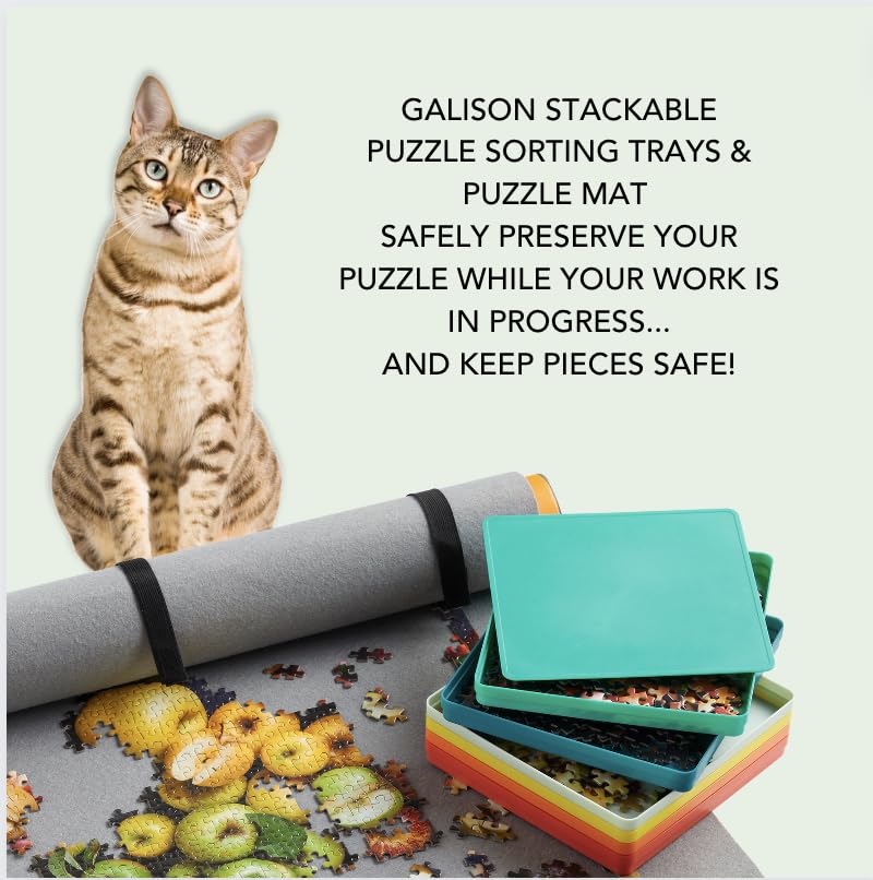 Puzzle Sorting Tray Set