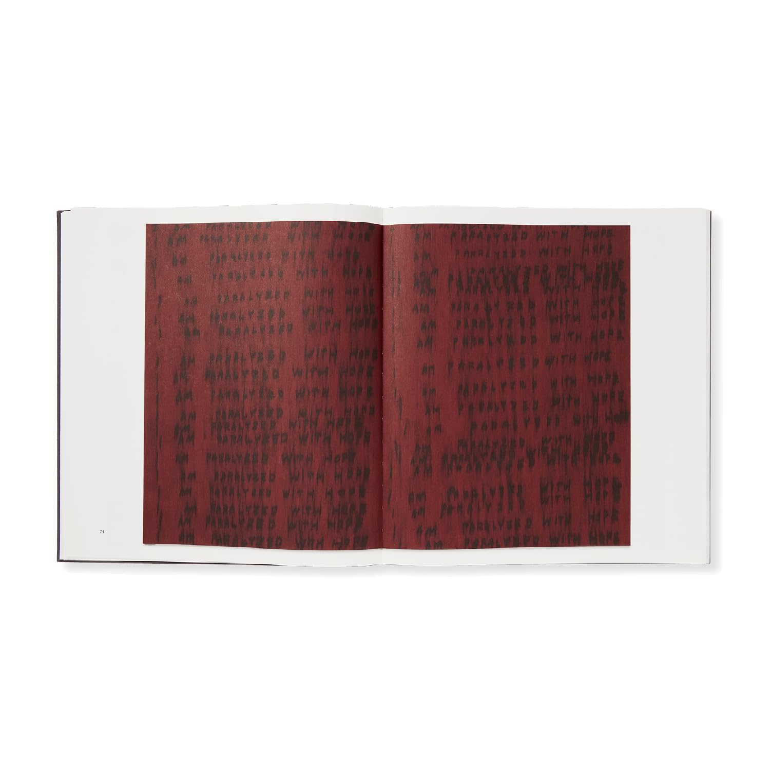 Roni Horn: Seizure of Hope