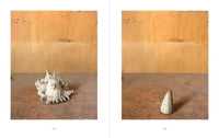 Joel Meyerowitz: Morandi's Objects: The Complete Archive of Casa Morandi