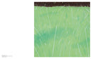 Alex Katz