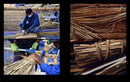 Magan Rediscovered: The Building of a Bronze Age Boat That Sailed the Arabian Gulf