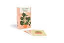 Houseplant Gardener in a Box: How to Care for Indoor Plants