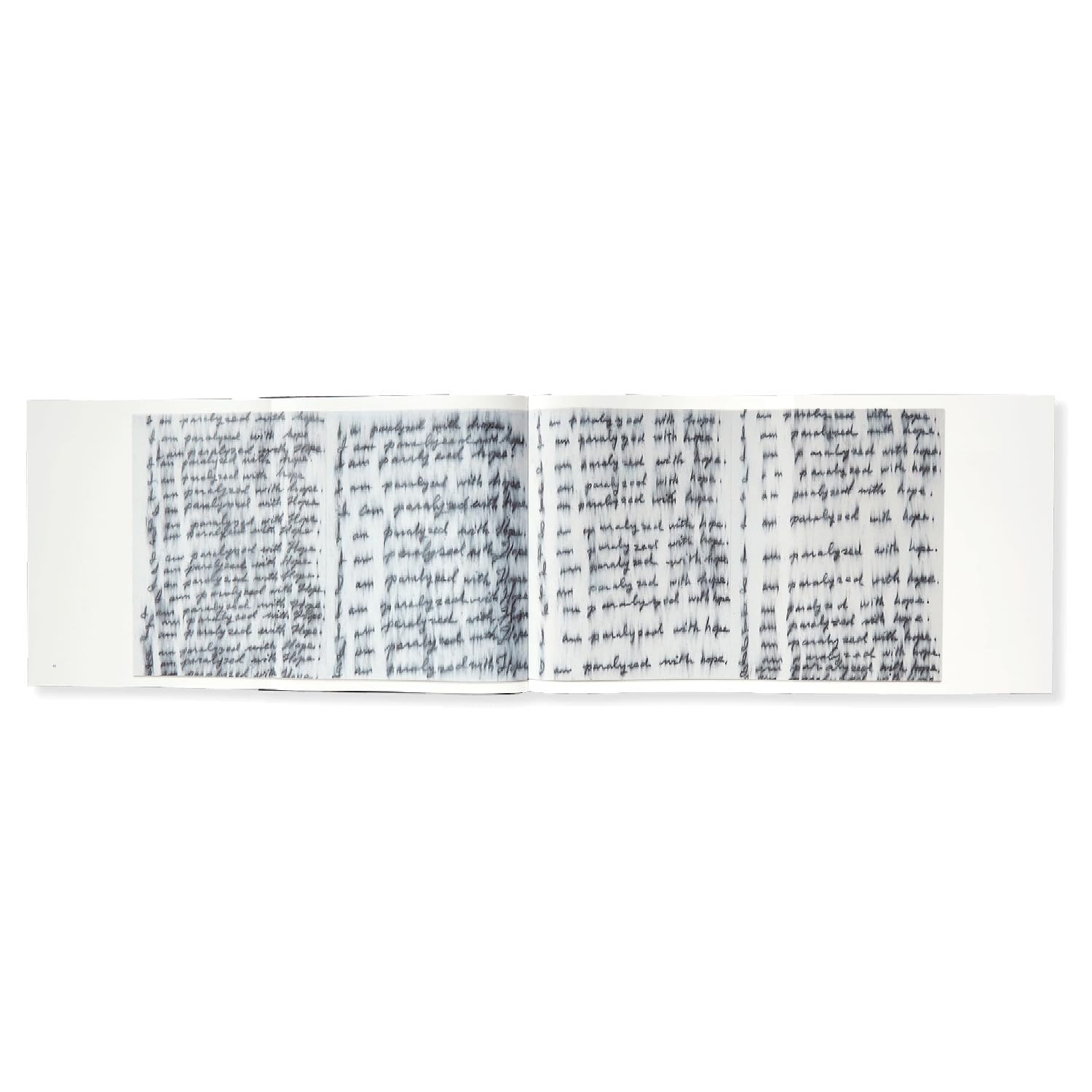 Roni Horn: Seizure of Hope