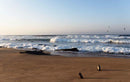 By the Sea: Inspiring Coastal Houses and Refuges