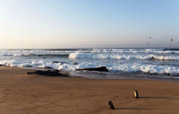 By the Sea: Inspiring Coastal Houses and Refuges